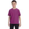 Boysenberry