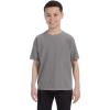 Grey PgmDye