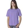 Violet PgmDye
