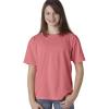 Watermelon PgmDye