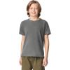 imageComfort Colors Kids Ring Spun TShirt 3Pack Style G9018Grey