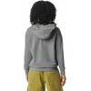 imageComfort Colors Adult Lightweight Cotton Hoodie Sweatshirt Style G1467Grey