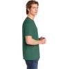 imageComfort Colors Adult Short Sleeve Tee Style G1717Light Green