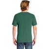 imageComfort Colors Adult Short Sleeve Tee Style G1717Light Green