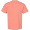 imageComfort Colors Adult Short Sleeve Tee Style G1717Terracotta