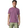 imageComfort Colors Short Sleeve Tee Style G1717Berry 2pack