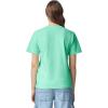 imageComfort Colors Short Sleeve Tee Style G1717Island Reef 1pack