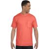 Bright Salmon