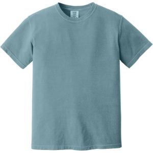imageComfort Colors Adult Short Sleeve Tee Style G1717Ice Blu Ringer