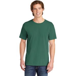 imageComfort Colors Adult Short Sleeve Tee Style G1717Light Green