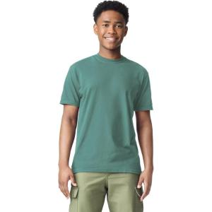 imageComfort Colors Short Sleeve Tee Style G1717Light Green 1pack
