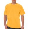 Citrus Pgmdye