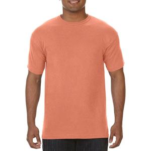 imageComfort Colors Adult Short Sleeve Tee Style G1717Terracota