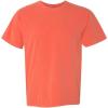 Salmon (1-pack)