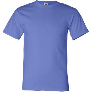 imageComfort Colors Adult Short Sleeve Tee Style G1717Flo Blue Pgmdye