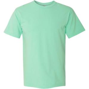 imageComfort Colors Adult Short Sleeve Tee Style G1717Island Mint 1pack