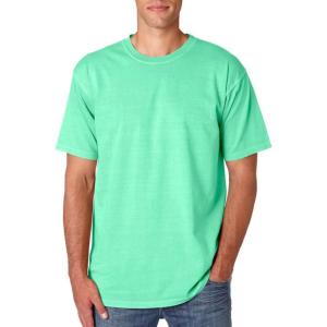 imageComfort Colors Adult Short Sleeve Tee Style G1717Island Reef Dirdye