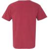 imageComfort C1717 Colors 61 oz Ringspun GarmentDyed TShirtMedium chili
