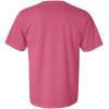 imageComfort Colors Adult Heavyweight Short Sleeve Tee Style G1717G1745 Multipack3xlarge crunchberry