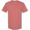 imageComfort Colors Adult Heavyweight Short Sleeve Tee Style G1717G1745 MultipackCumin