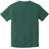 imageComfort Colors Adult Heavyweight Short Sleeve Tee Style G1717G1745 MultipackEmerald