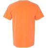 imageComfort Colors Adult Heavyweight Short Sleeve Tee Style G1717G1745 MultipackMelon Pgmdye