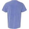 imageComfort Colors Adult Heavyweight Short Sleeve Tee Style G1717G1745 MultipackPeriwinkle