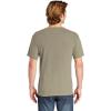 imageComfort Colors Adult Heavyweight Short Sleeve Tee Style G1717G1745 MultipackSandstone
