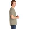 imageComfort Colors Adult Heavyweight Short Sleeve Tee Style G1717G1745 MultipackSandstone