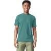 imageComfort Colors Adult Heavyweight Short Sleeve Tee Style G1717G1745 MultipackSeafoam 2pack