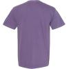 imageComfort Colors Adult Heavyweight Short Sleeve Tee Style G1717G1745 MultipackSmall grape
