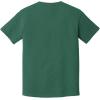 imageComfort Colors Adult Heavyweight Short Sleeve Tee Style G1717G1745 MultipackSmall light Green