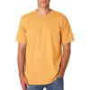 Citrus Pgmdye