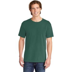 imageComfort Colors Adult Heavyweight Short Sleeve Tee Style G1717G1745 MultipackEmerald