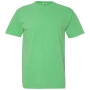 imageComfort Colors Adult Heavyweight Short Sleeve Tee Style G1717G1745 MultipackMint