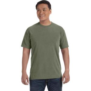 imageComfort Colors Adult Heavyweight Short Sleeve Tee Style G1717G1745 MultipackSage Dirdye