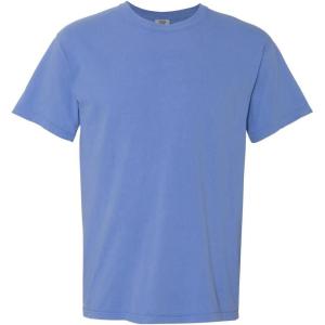 imageComfort Colors Adult Heavyweight Short Sleeve Tee Style G1717G1745 MultipackXlarge mystic Blue