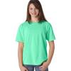 imageComfort Colors mens ClassicIsland Reef