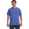 Large periwinkle