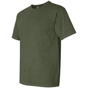imageComfort Colors Mens Short Sleeve Tee Style 1717Hemp