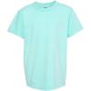 imageComfort Colors Mens Adult Short Sleeve Tee Style 1717Blue