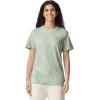 imageComfort Colors UnisexAdult Short Sleeve Tee Style G1717Fern 2pack