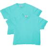 imageComfort Colors Womens Heavyweight Boxy TShirt Style G3023CL 2Pack Chalky Mint Large
