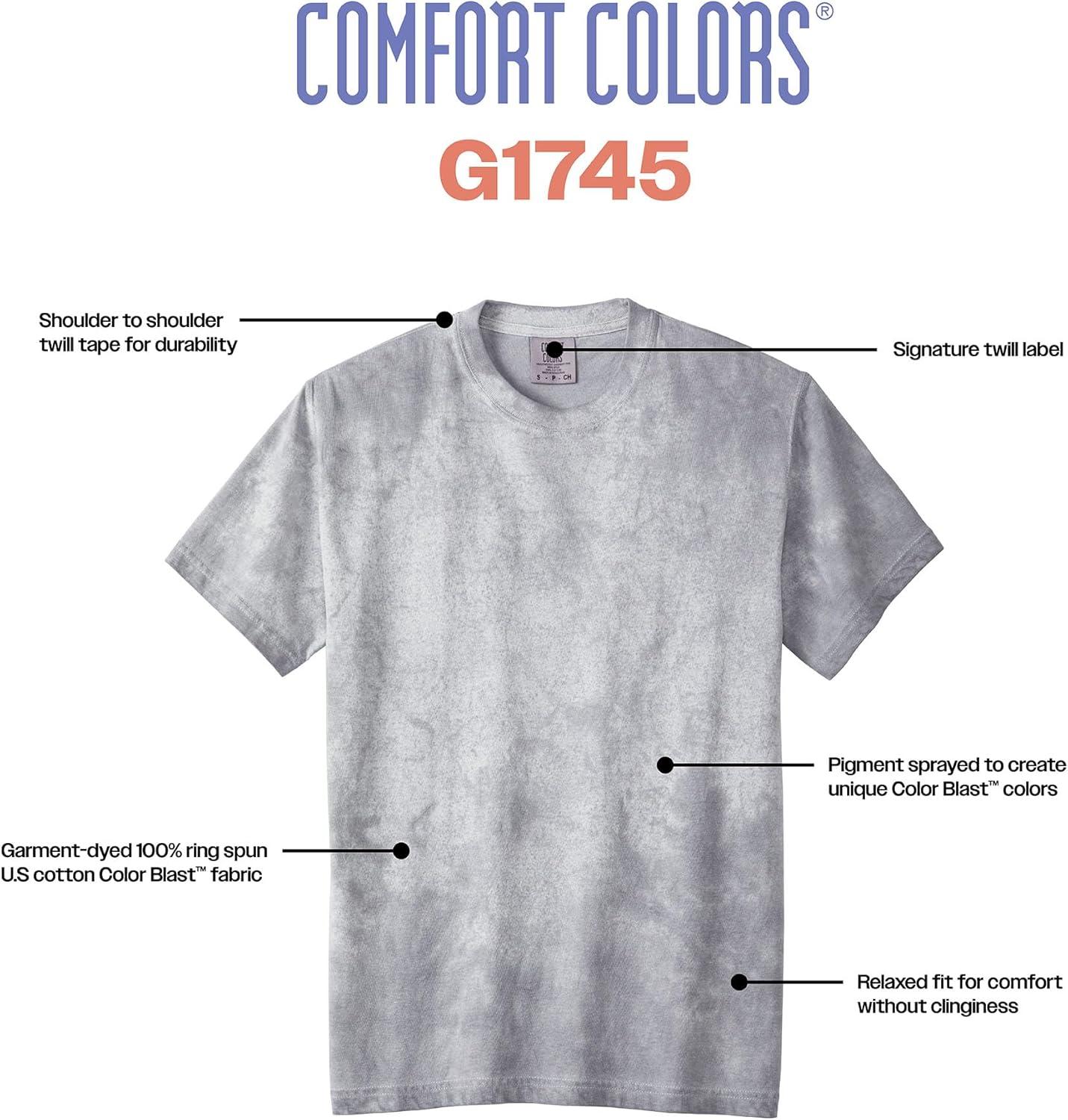 imageComfort Colors Adult Heavyweight Short Sleeve Tee Style G1717G1745 MultipackFern 2pack