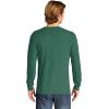 image:imageComfort Colors Mens Long and Short Sleeve TShirtLight Green