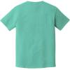 image:imageComfort Colors Mens Short Sleeve TeeChalky Mint Pgmdye