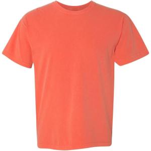 image:imageComfort Colors Mens Short Sleeve TeeSalmon 1pack