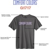 image:imageComfort Colors Adult Heavyweight Short Sleeve Tee Style G1717G1745 MultipackPepper  Orchid Logo Center Print