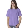 Violet PgmDye