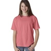 Watermelon PgmDye